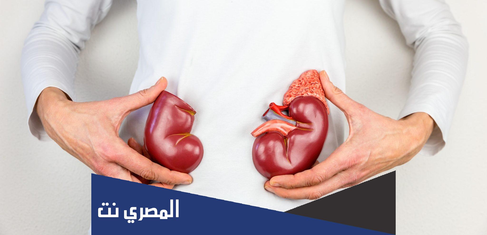 كم سعر الكلية بالريال السعودي