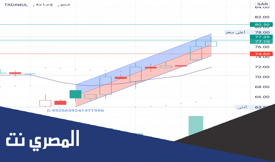 كم سعر سهم شمس