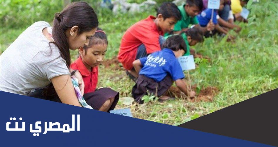 كم عدد الاشجار التي تزرع في المدارس