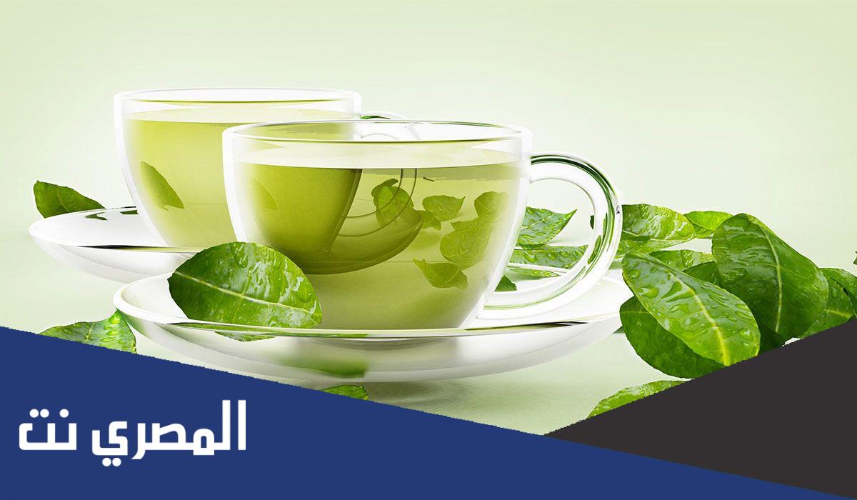 كم مرة تشرب القهوة الخضراء