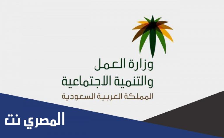 كم يصرف الضمان الاجتماعي للفرد ؟