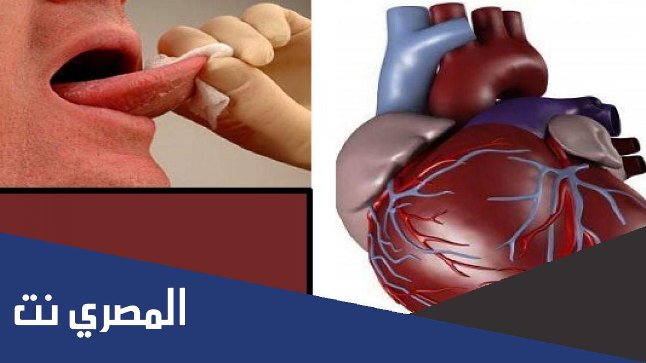 لماذا سمي القلب واللسان بالأصغران ؟