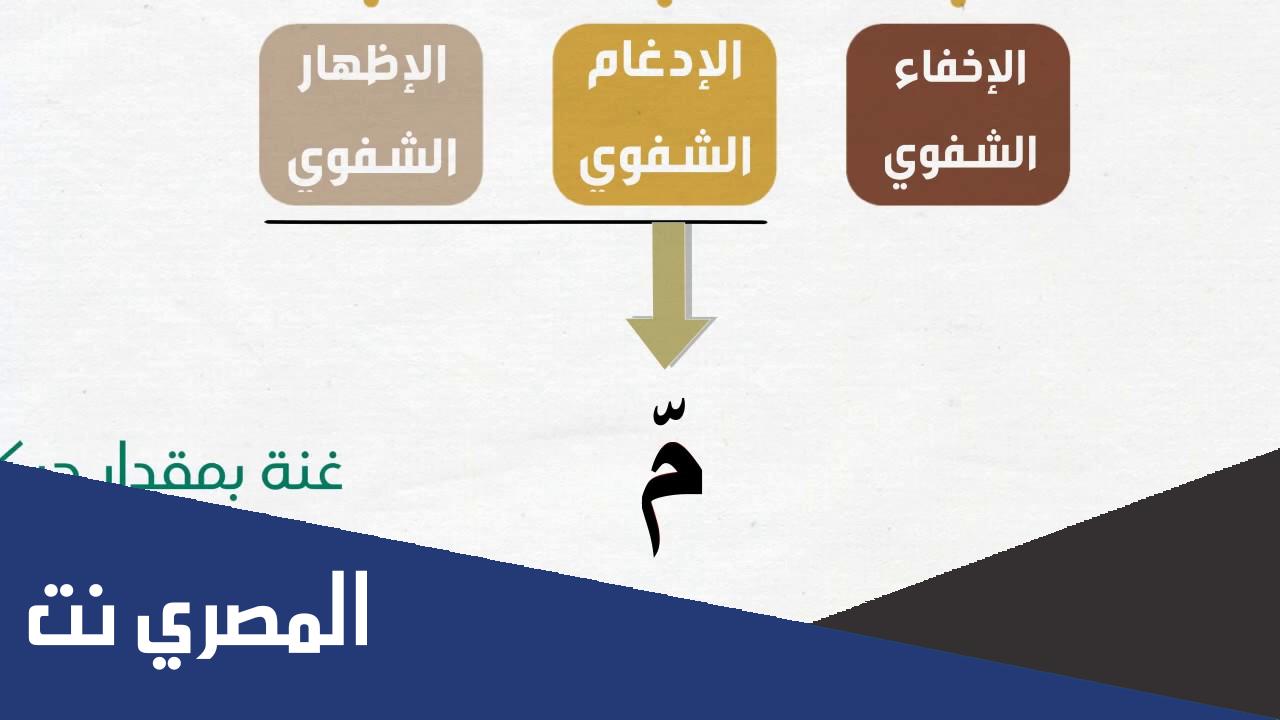 احكام الميم الساكنة بالشفوية