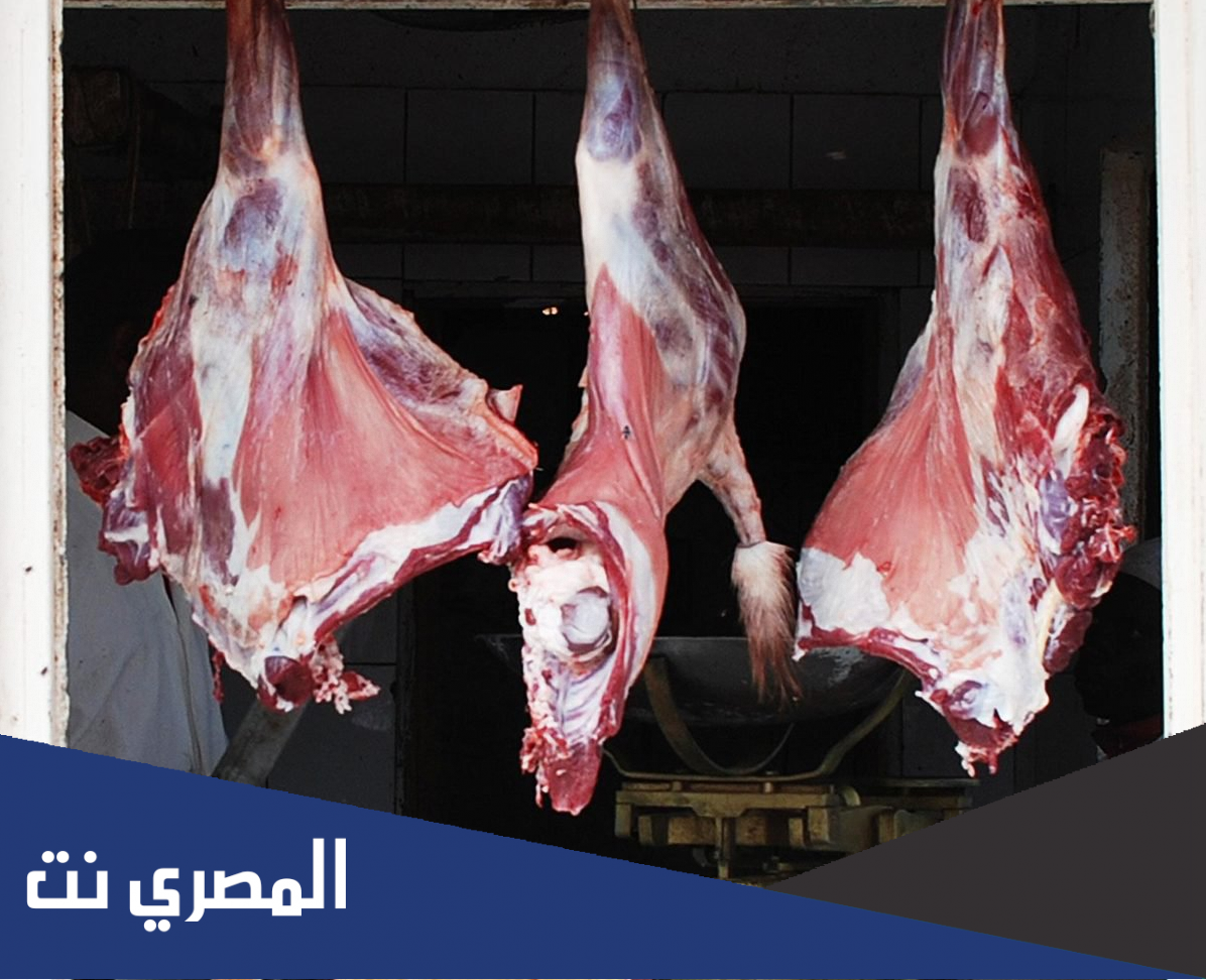 لماذا لا تقبل شهادة الجزار ومربي الحمام
