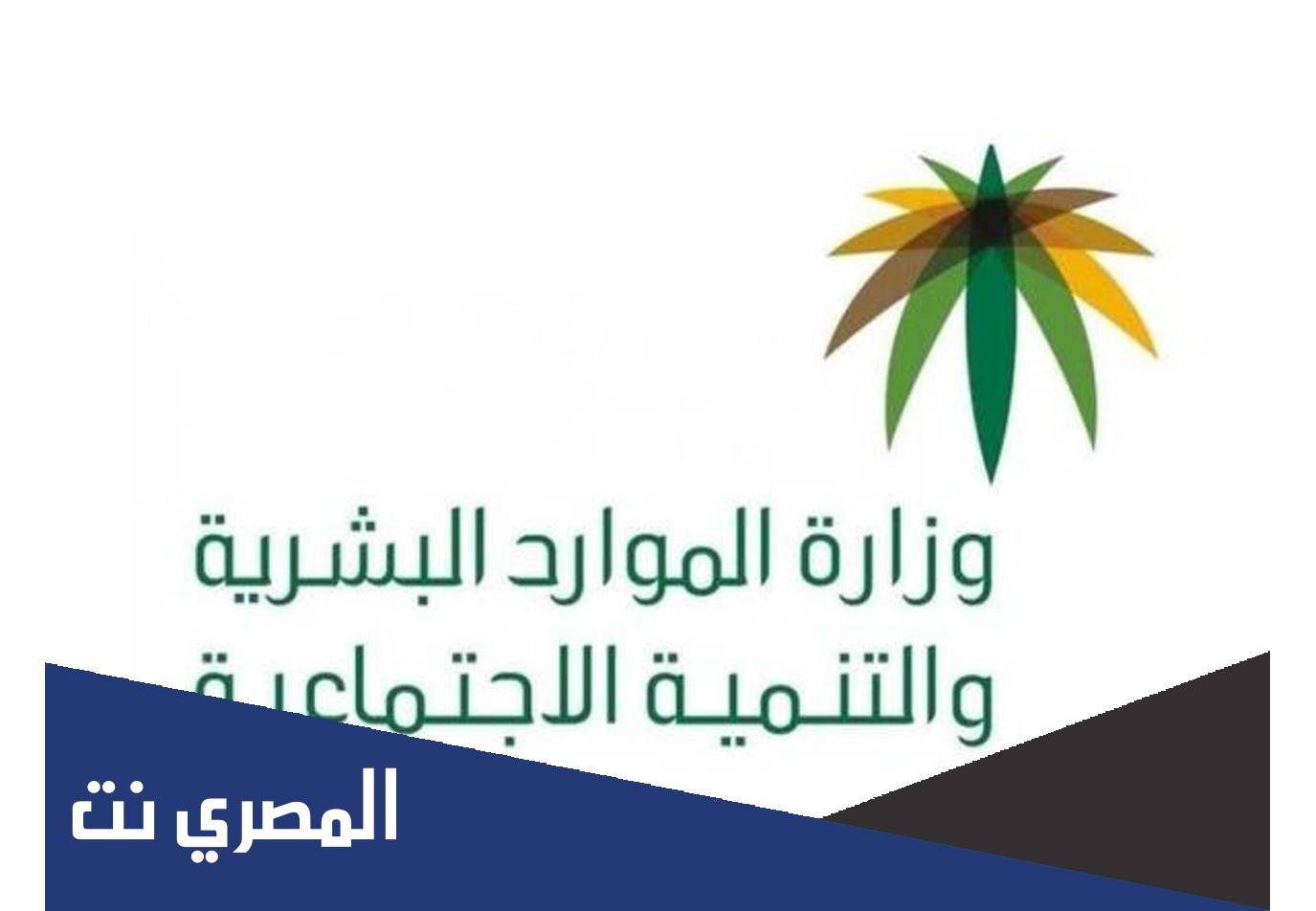 ما الجهة الحكومية التي تتولى تنظيم شؤون التطوع في المملكة