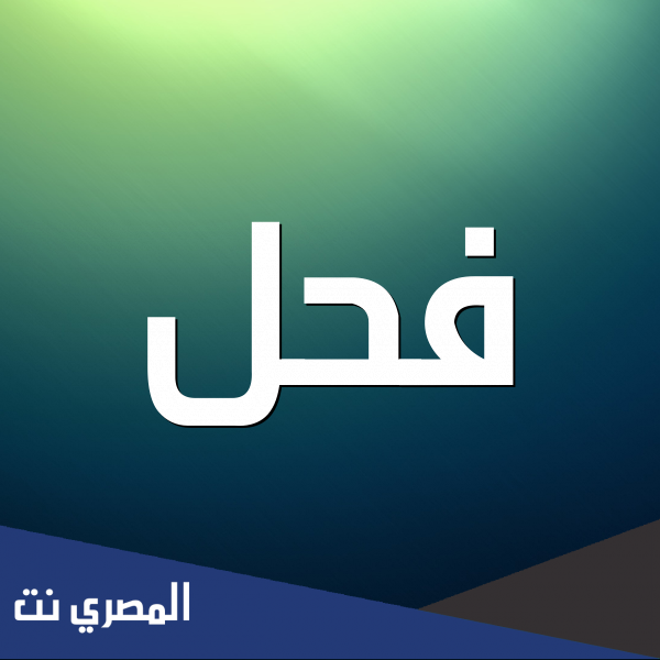 ما معنى كلمة فحل بالعامية