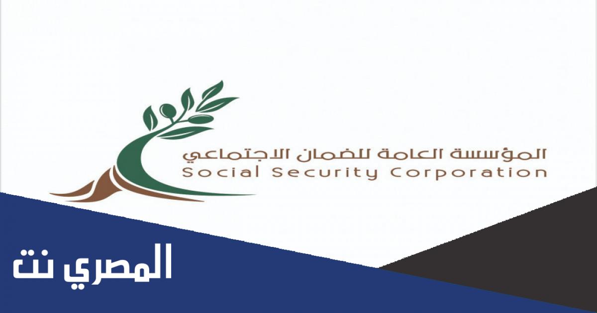 ما هو برنامج استدامة الضمان الاجتماعي