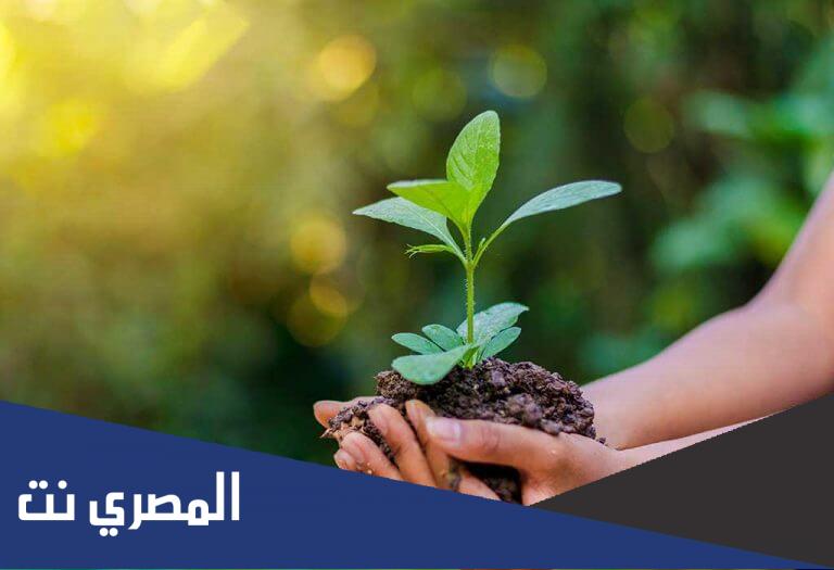 ما هو يوم البيئة العالمي 2022