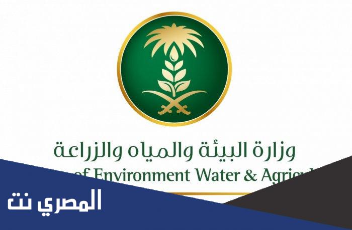 ما هي التخصصات المطلوبة لوزارة البيئة والمياه السعودية