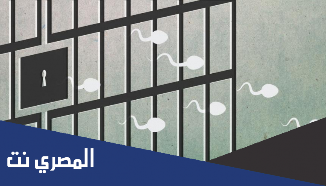 ما هي النطفة المهربة