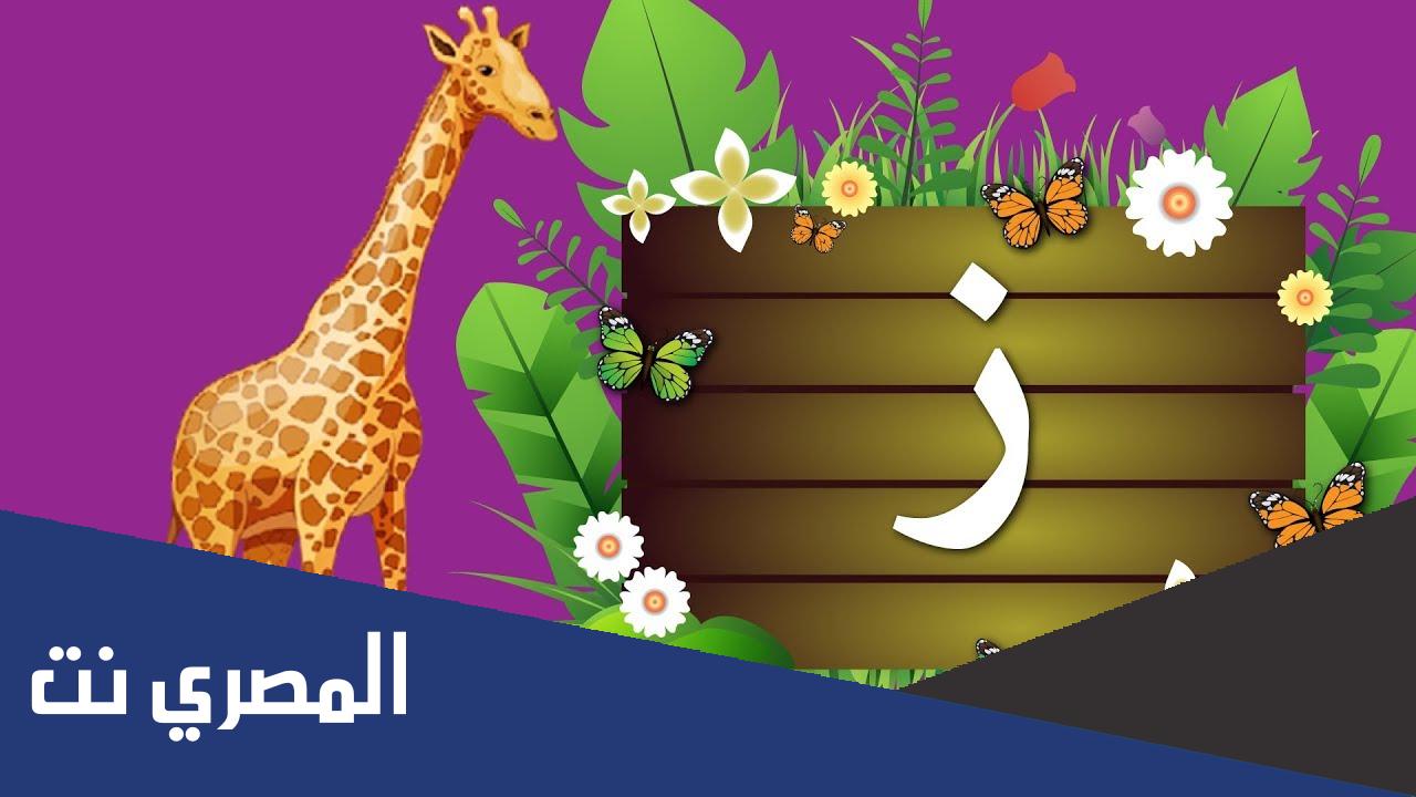 ماذا قيل في حرف الزاي