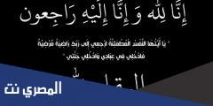 من هي هبة المنيع السيرة الذاتية