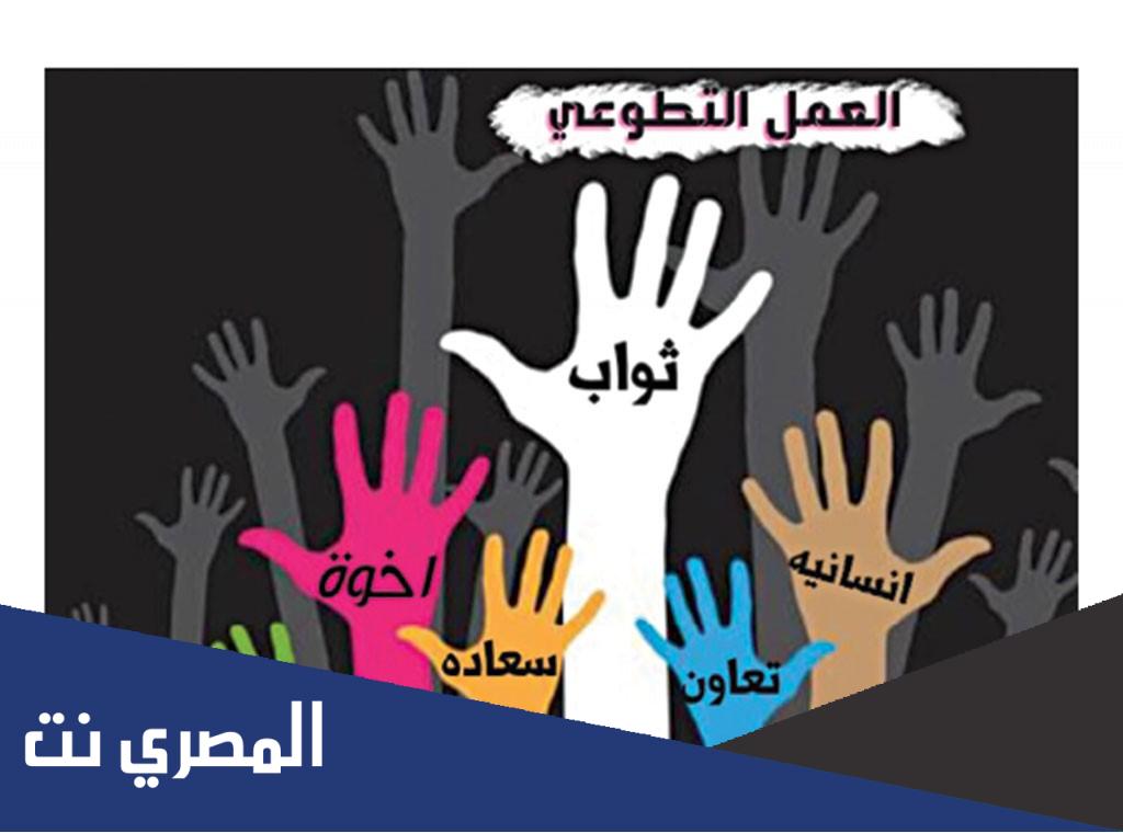 معلومات عن التطوع 2022