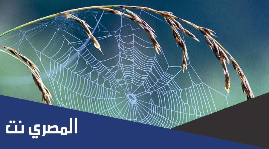 وجه الشبه بين آلهة المشركين وبين بيت العنكبوت ضعفها ووهنها وأنها لاتغني شيئا