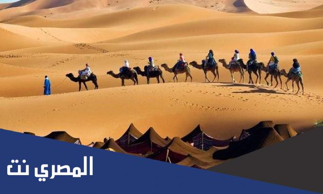 الفضلي وش يرجعون