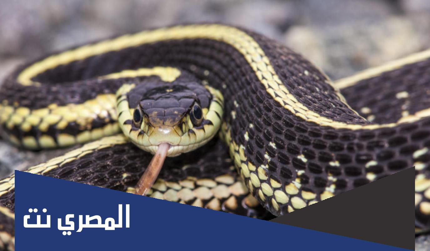 أين توجد حاسة الشم لدى الثعبان من 7 حروف