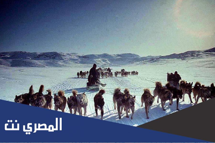 عادات شعب الاسكيمو وتقاليدهم واسلوب الحياة فيها بالصور