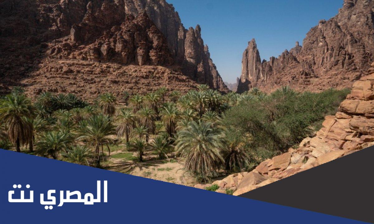 اسماء المحاصيل الزراعية في تبوك