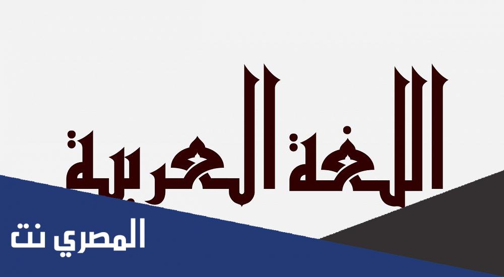 كيف نحافظ على اللغة العربية