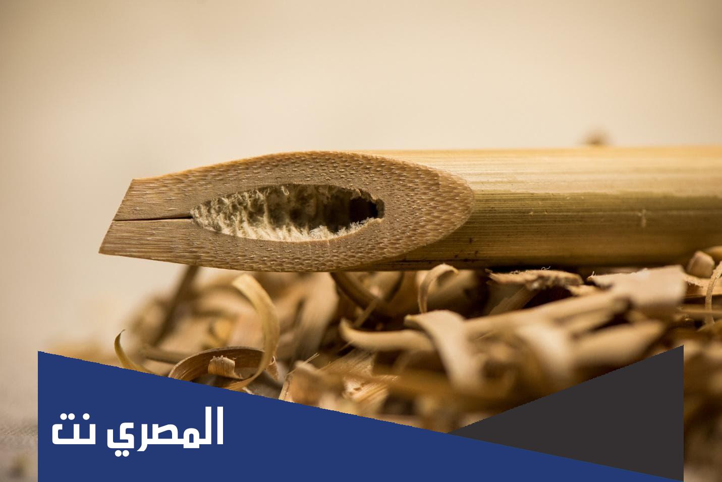 لماذا لجا القدماء الى الكتابه عن طريق النقش على الصخور