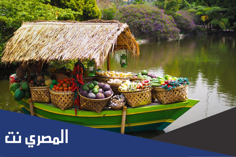 شروط السفر الى اندونيسيا من السعودية 2022
