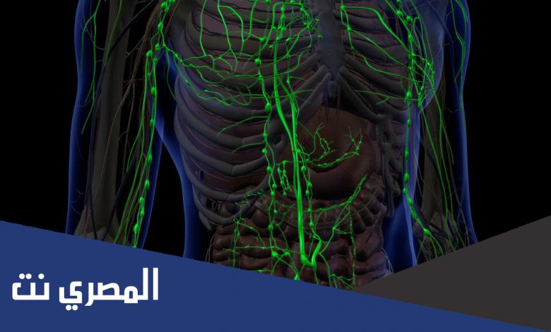 هل الجهاز اللمفاوي مغلق ام مفتوح