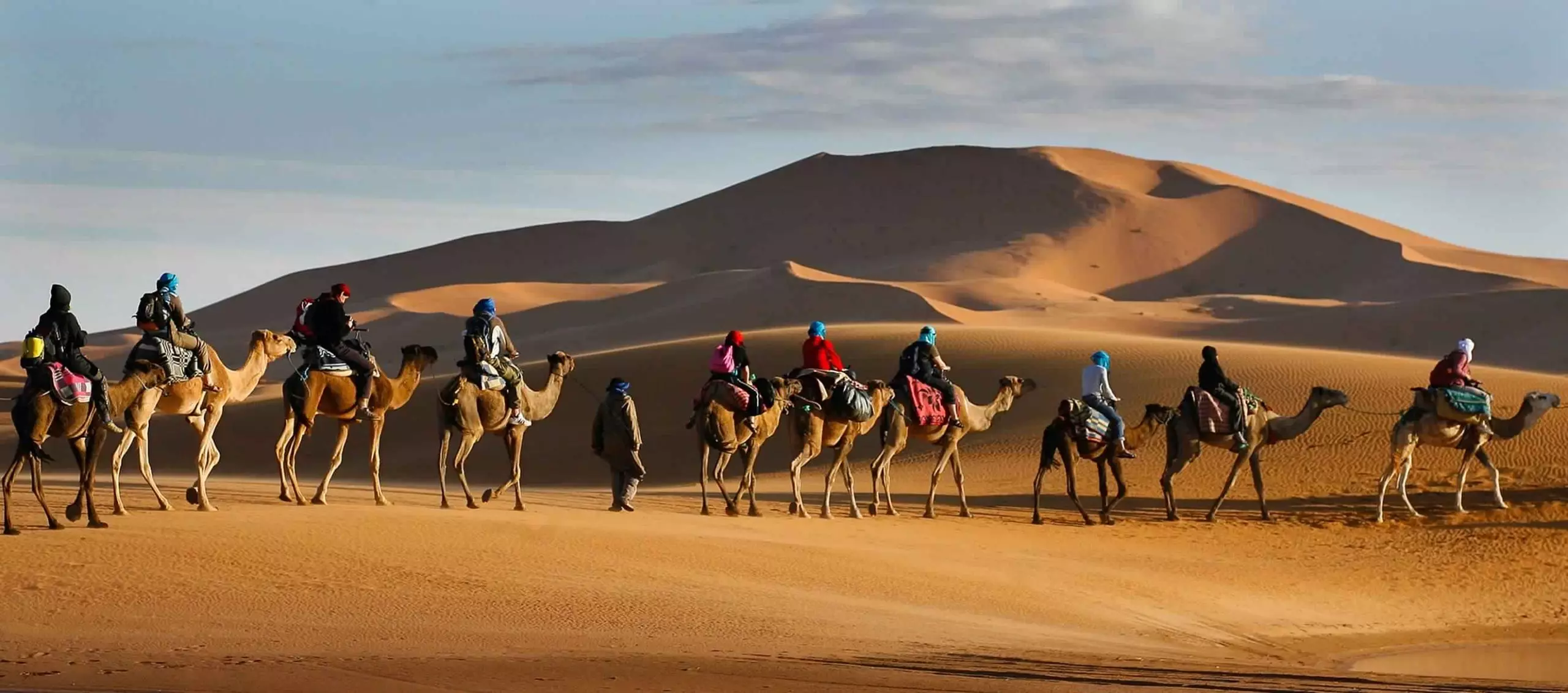 اصل الوادعي القحطاني من وين