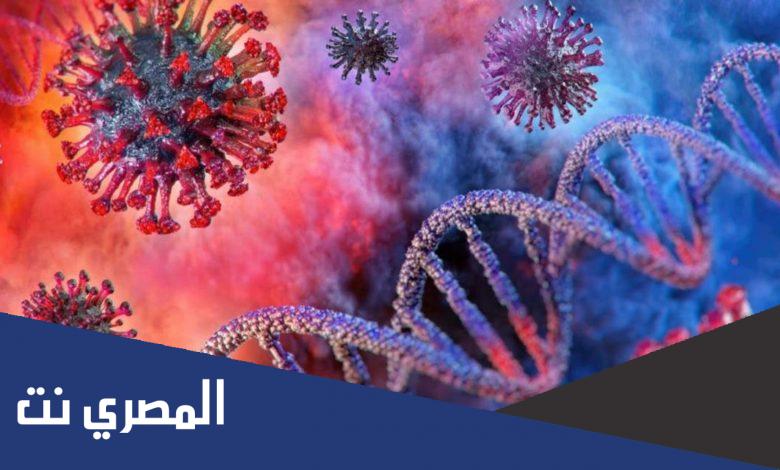 التفاصيل الكاملة لمتحور إيهو أحدث سلالات كورونا بعد ظهوره في فرنسا