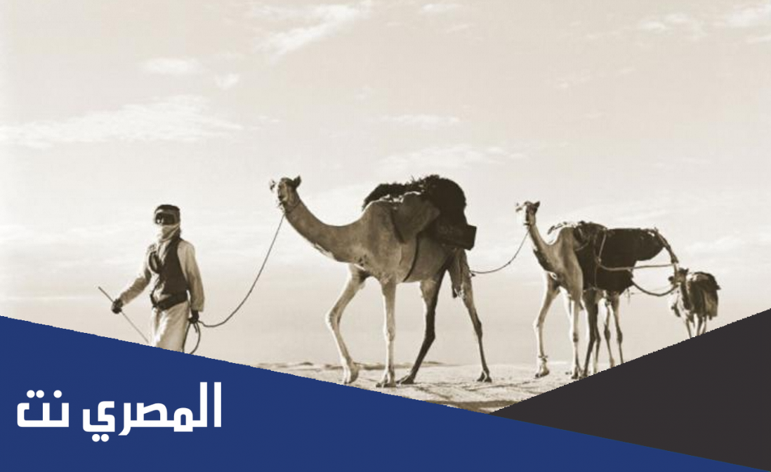 الحبردي وش يرجعون