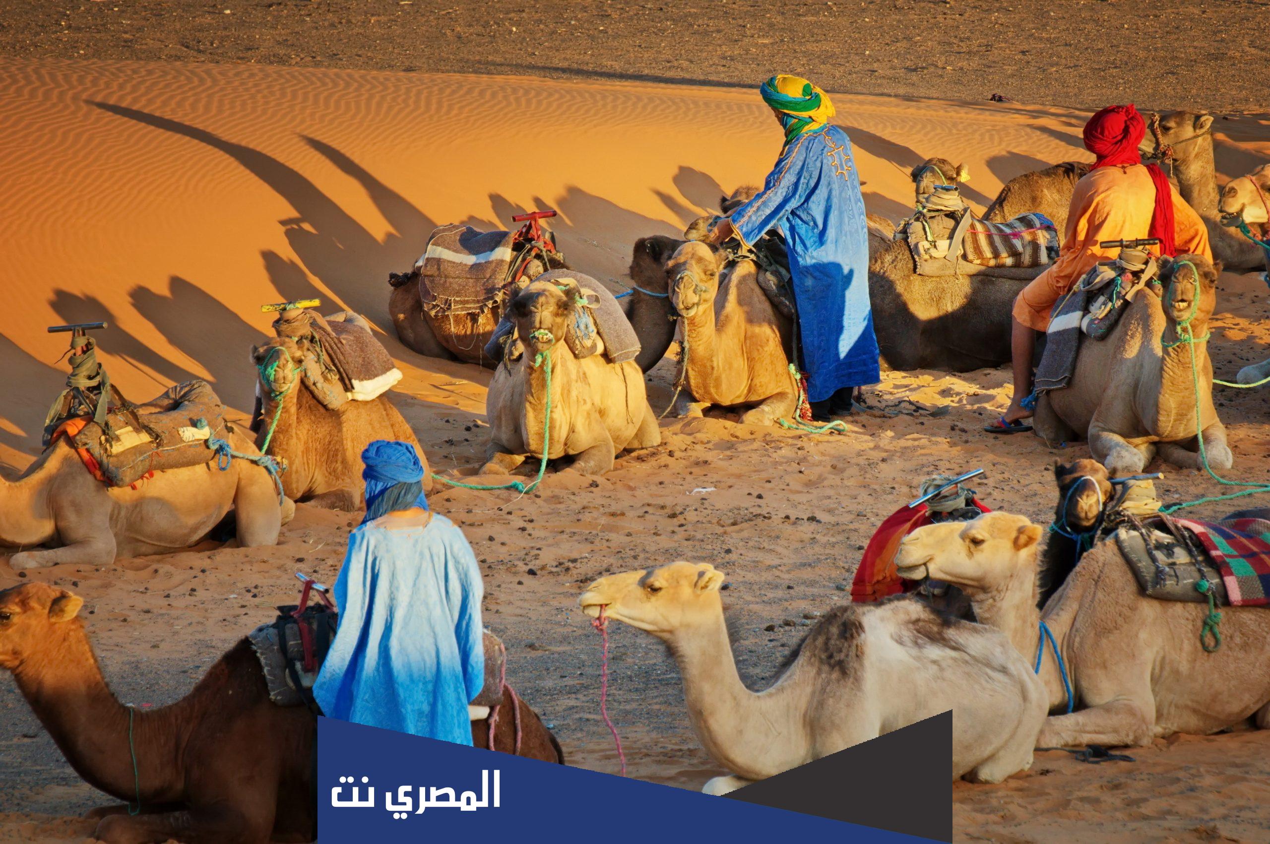 العبدان وش يرجعون
