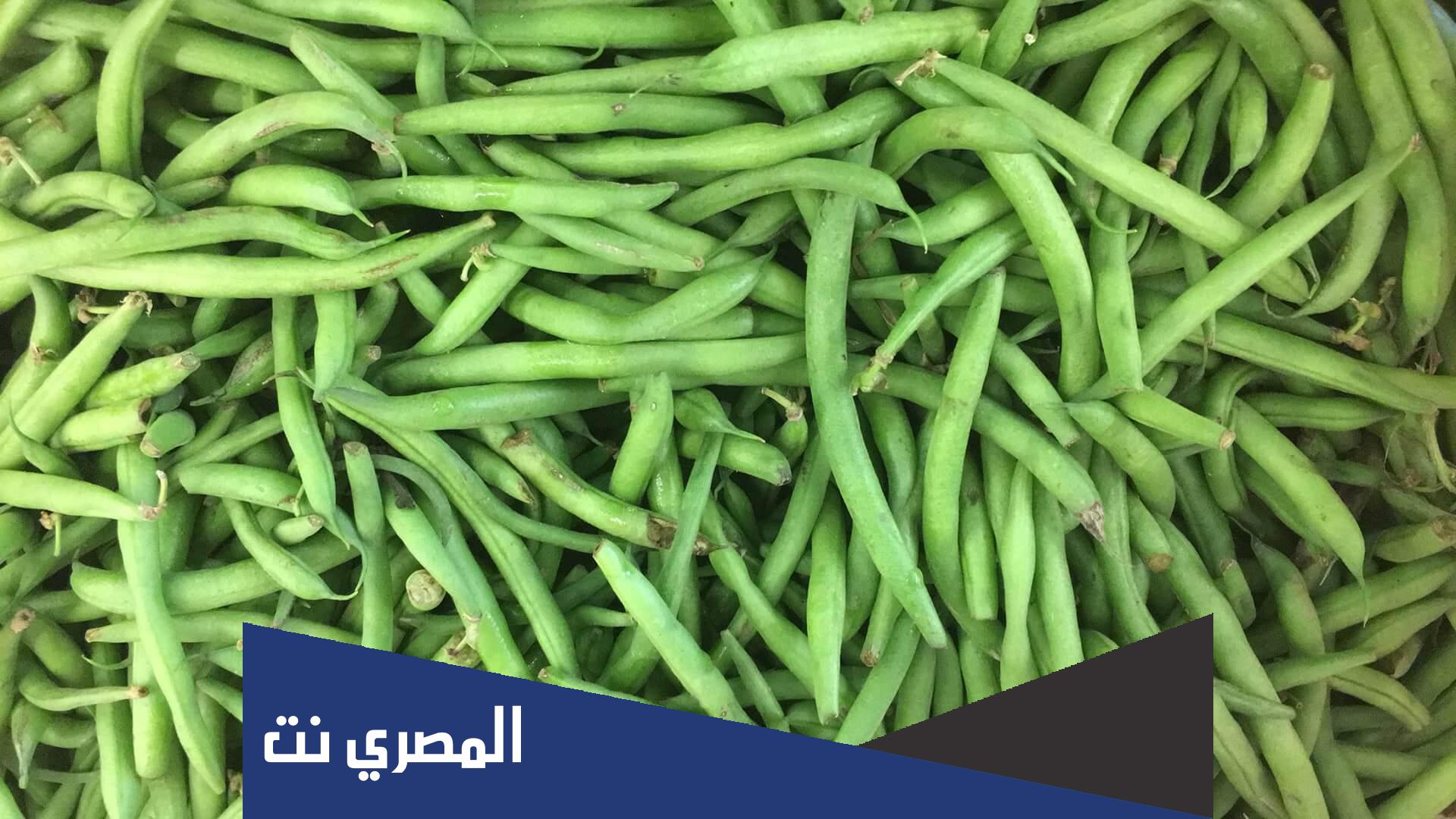 اين تزرع الفاصوليا في فلسطين