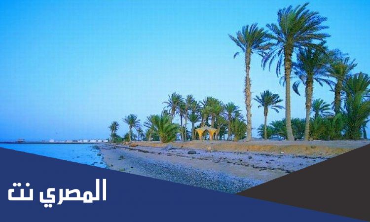 اين تقع املج بالسعودية