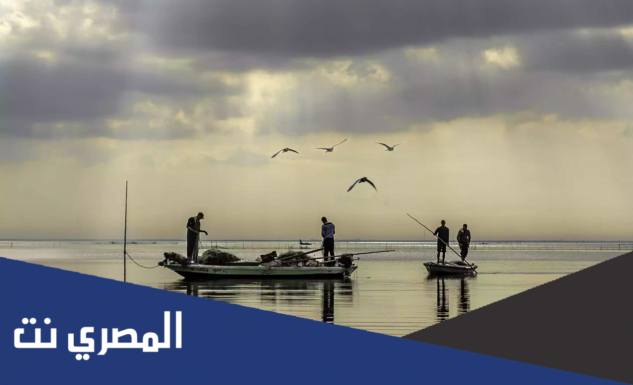 اين تقع بحيرة البرلس
