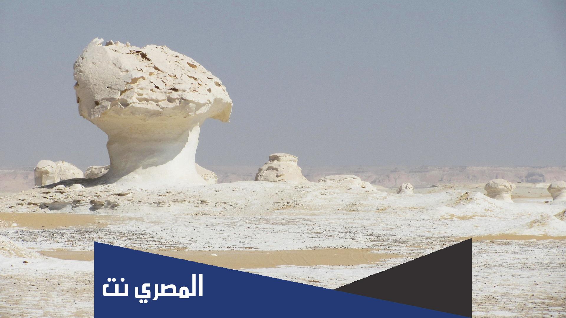 اين تقع محمية الصحراء البيضاء