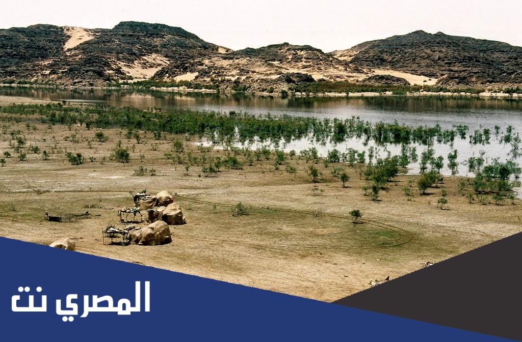 محمية وادي العلاقي