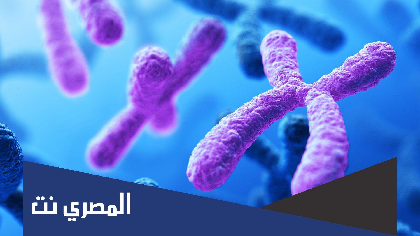 اين توجد الجينات الوراثية في جسم الانسان
