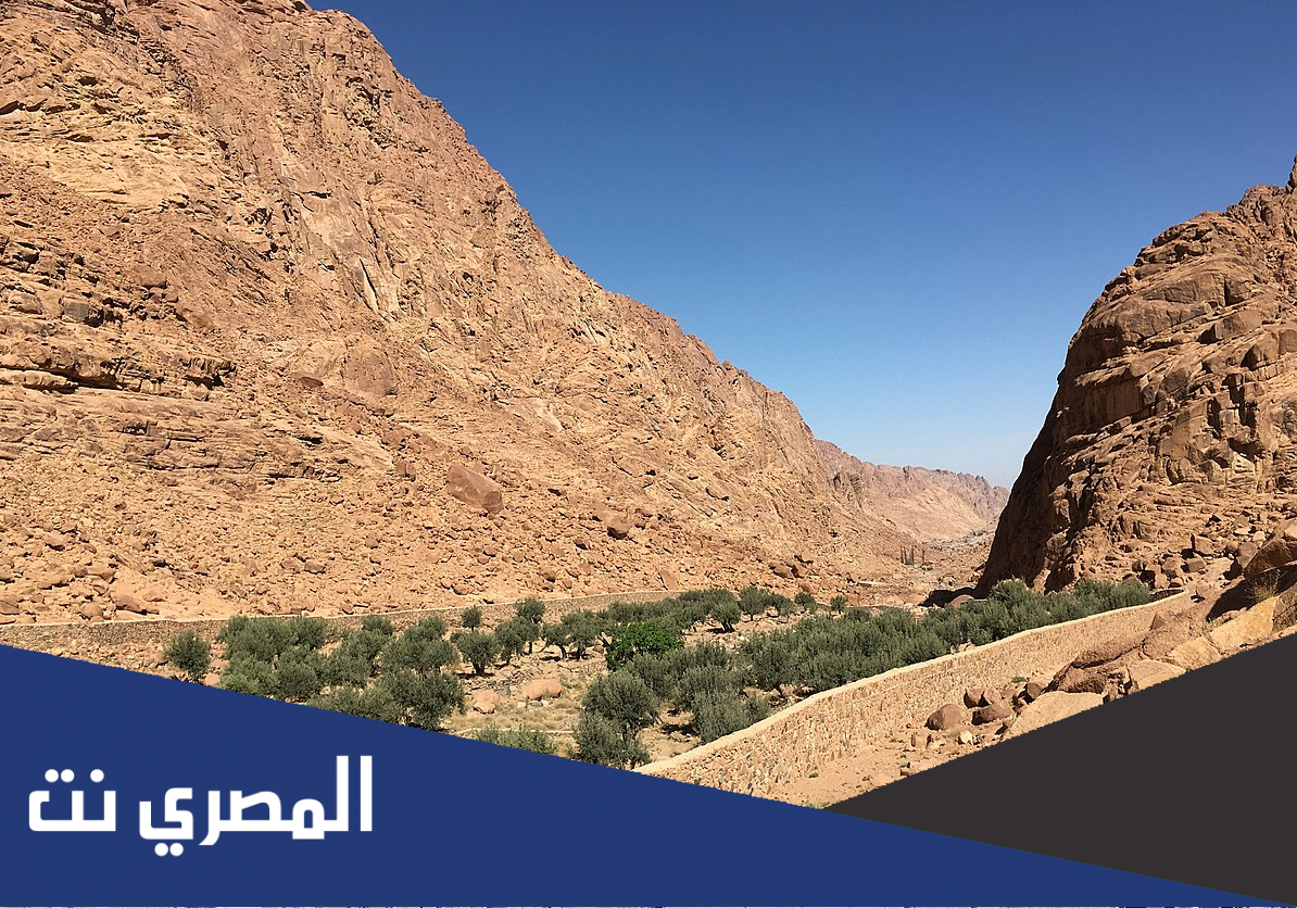 اين يقع وادي العلاقي