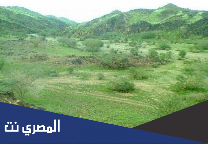 اين يقع وادي الفرع في السعودية