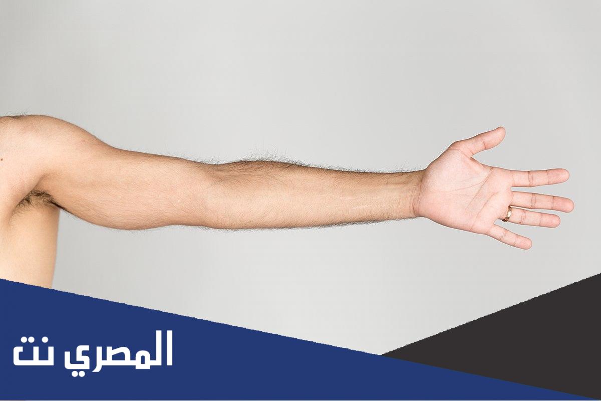 جزء من الذراع يقع بين المرفق والكتف هو