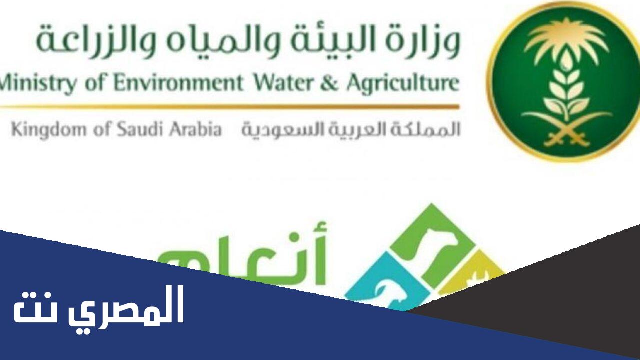 رابط التسجيل في برنامج دعم صغار مربي الماشية