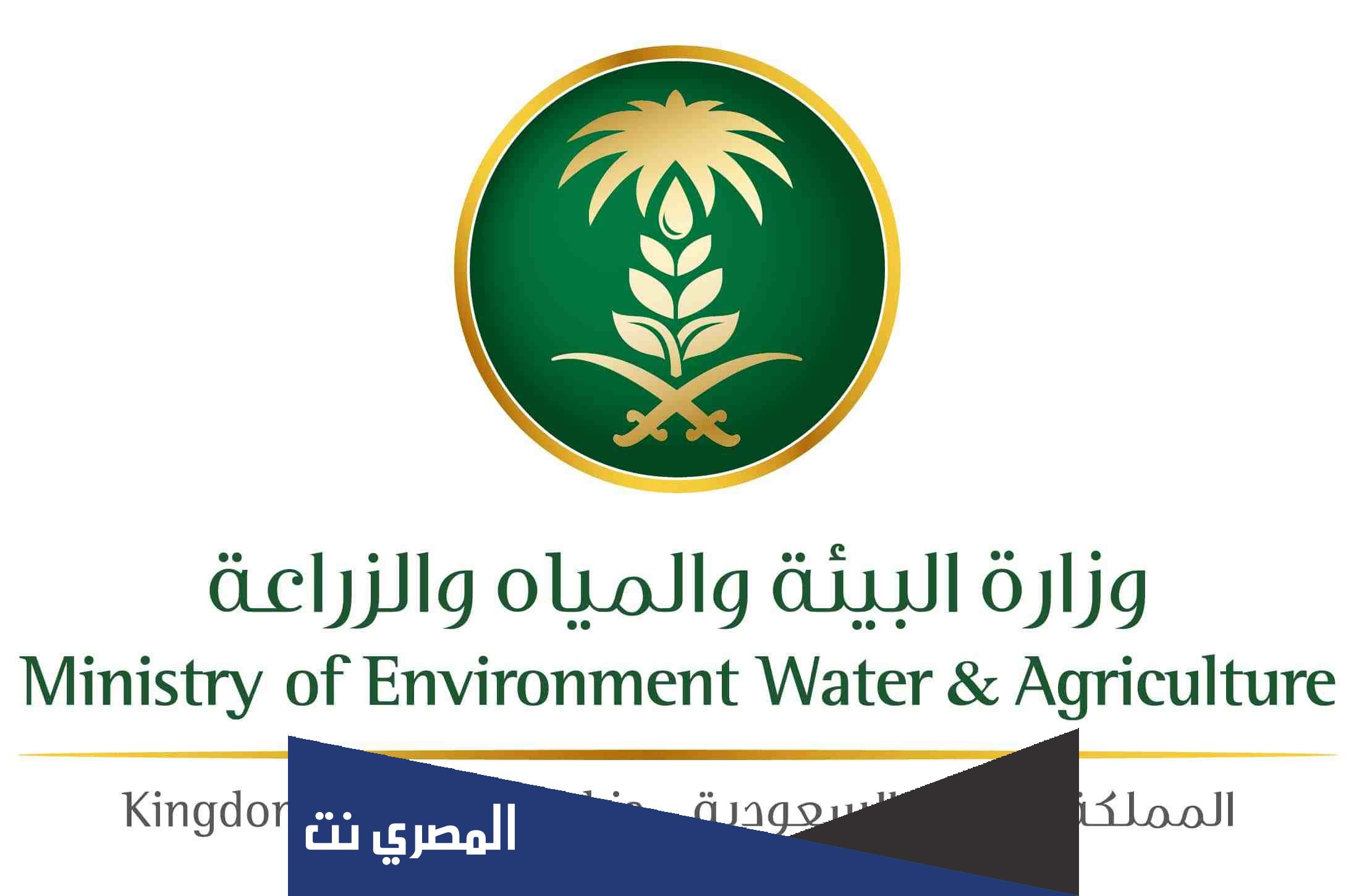 رابط التقديم على خدمة العمالة المؤقتة الآن عن طريق بوابة العمالة الزراعية