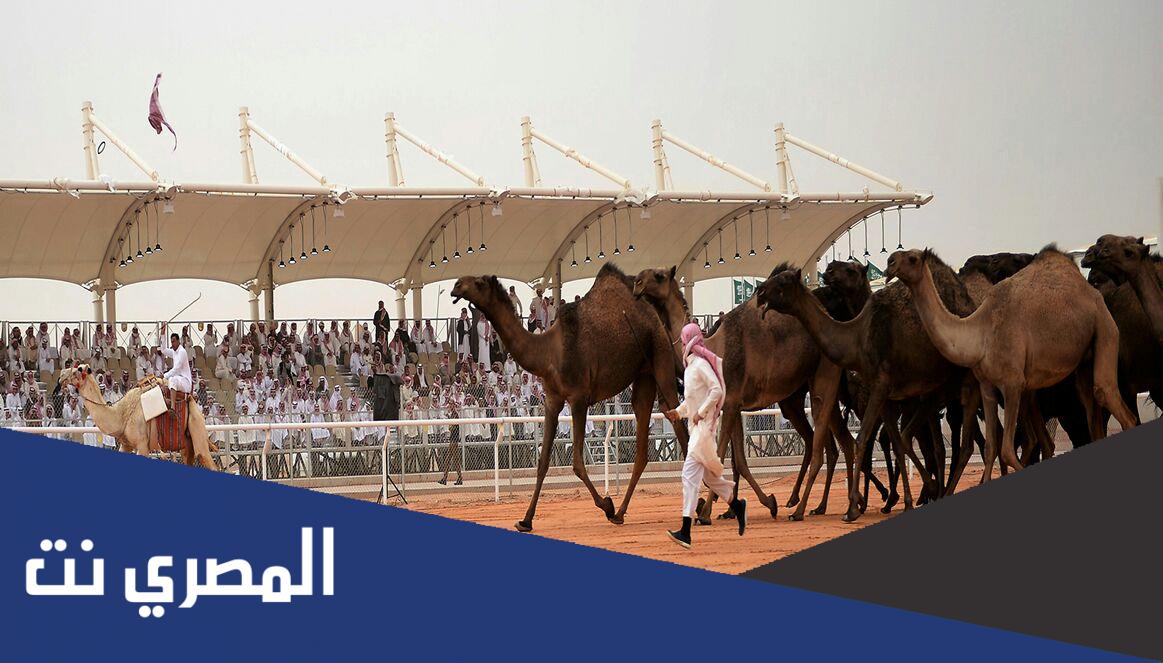 رابط نتائج الشداد اليوم 2022