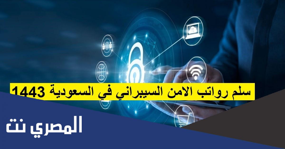 رواتب الأمن السيبراني