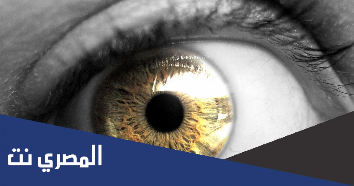 سراج الجسد هو