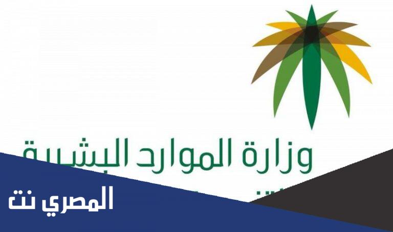 شروط إعفاء المنشآت الصغيرة من المقابل المالي