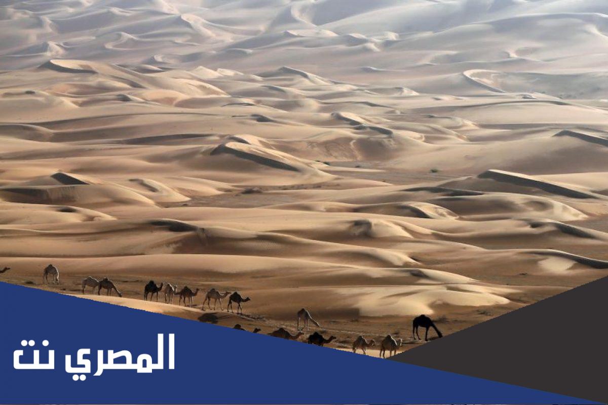 فخوذ قبيلة شمر