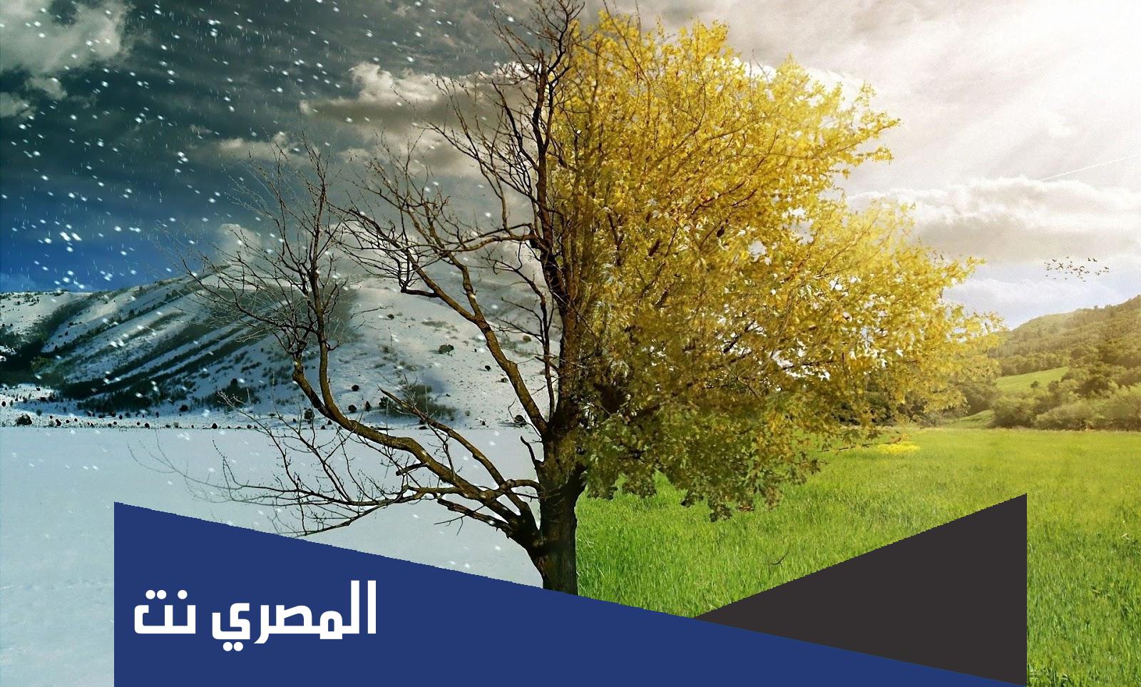 في الشتاء خمس وفي الصيف ثلاث فما هي