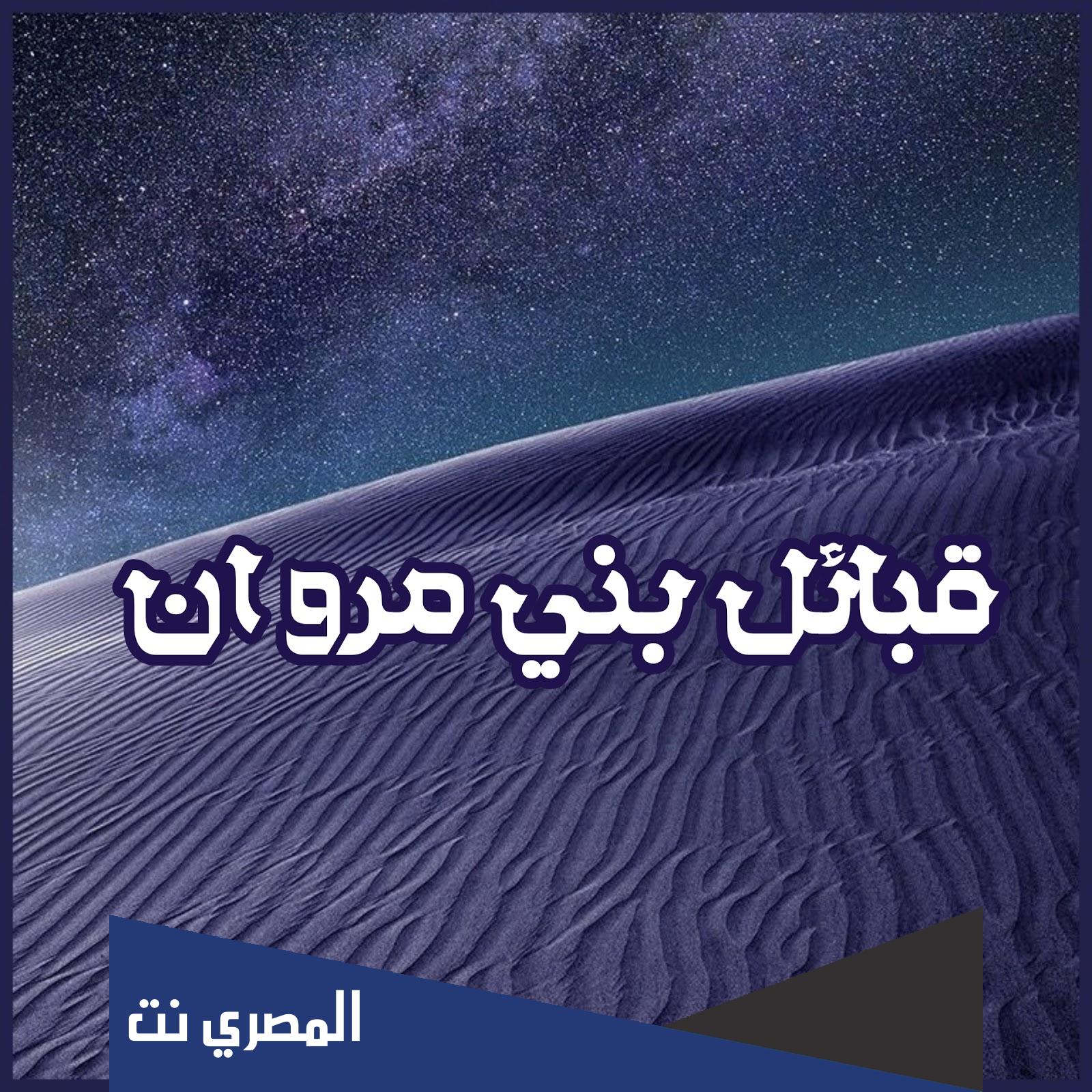 شجرة قبيلة المرواني