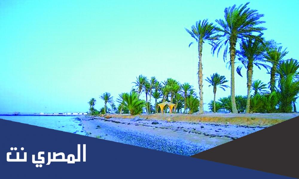 كم تبعد املج عن تبوك بالكيلو