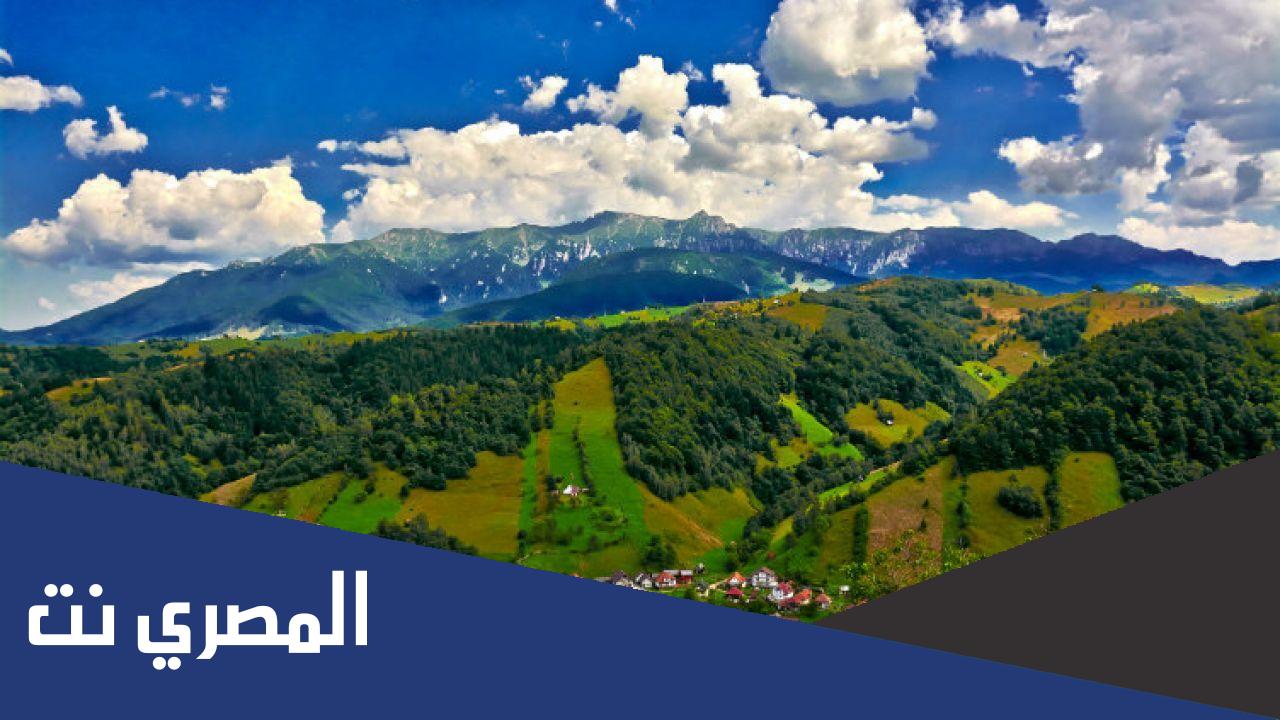 كم عدد المسلمين في بوركينا فاسو
